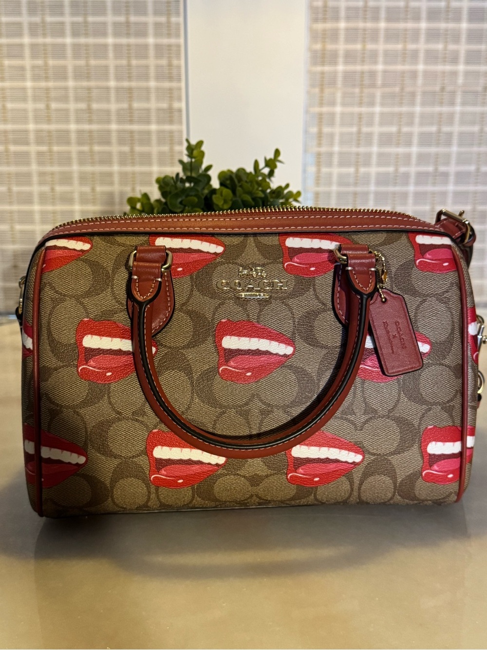 Coach X Tom Wesselmann Rowan Medium Leather Satchel